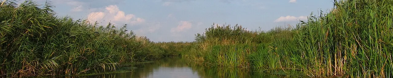 Wetlands/landscape banner for Comana