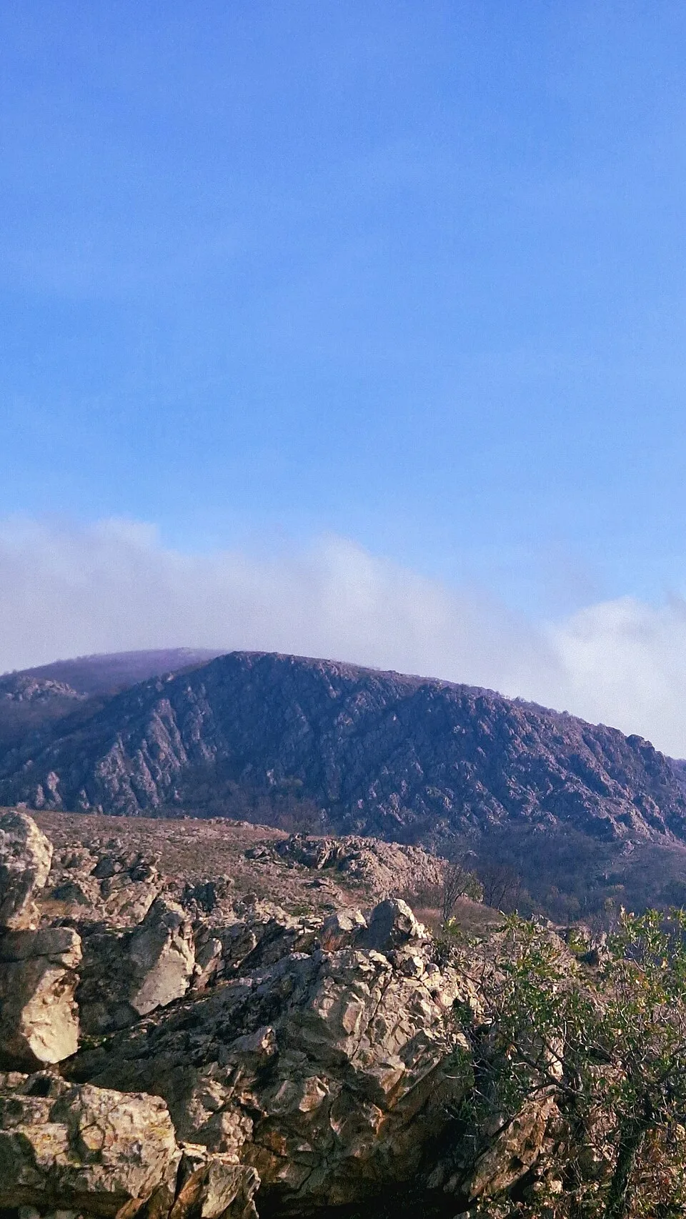 Cetate Peak in the Măcin Mountains