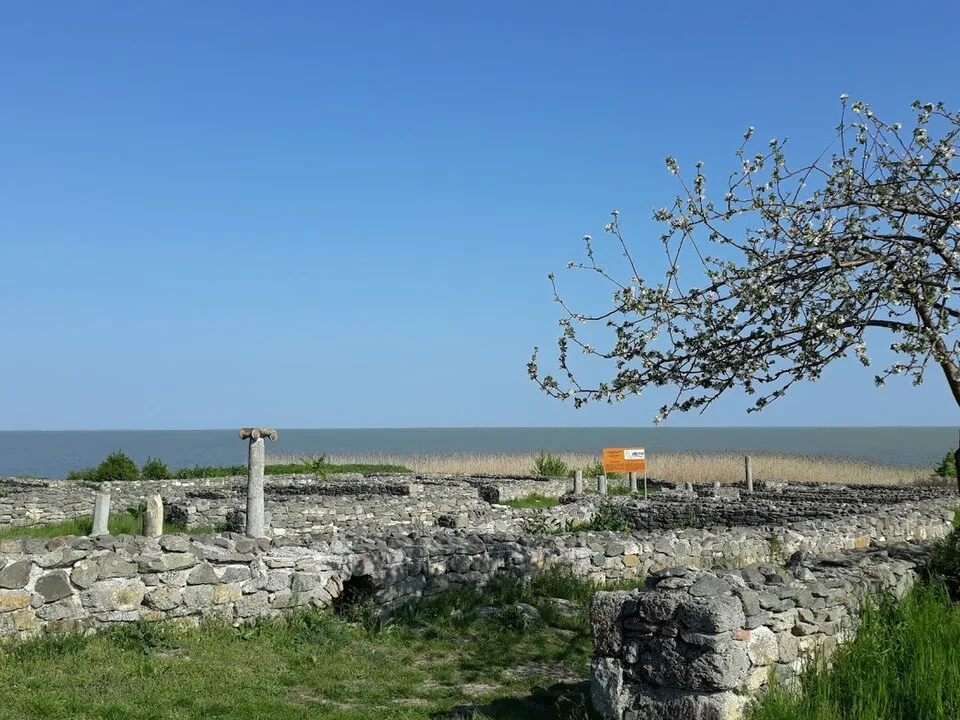 Capul Dolosman and Argamum/Orgame ruins context image 2: Stone remains inside the Histria archaeological site.