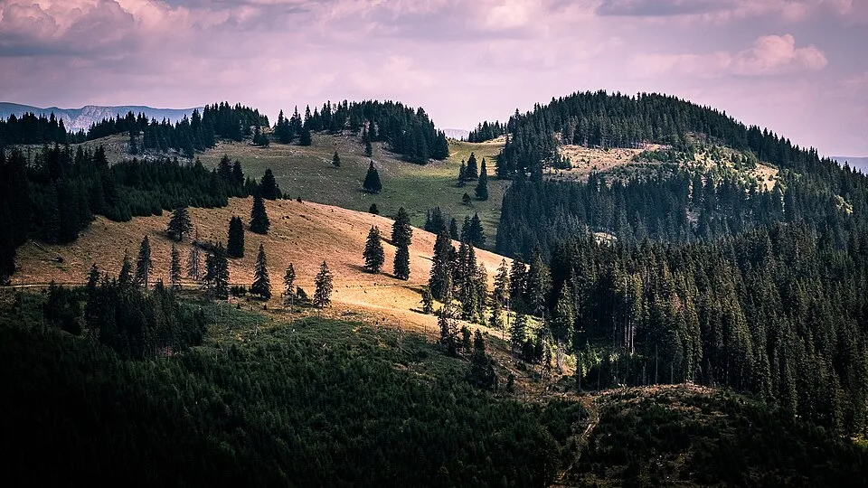 Piatra Craiului National Park Visitor Centre context image 4: Piatra Craiului landscape in the Southern Carpathians.