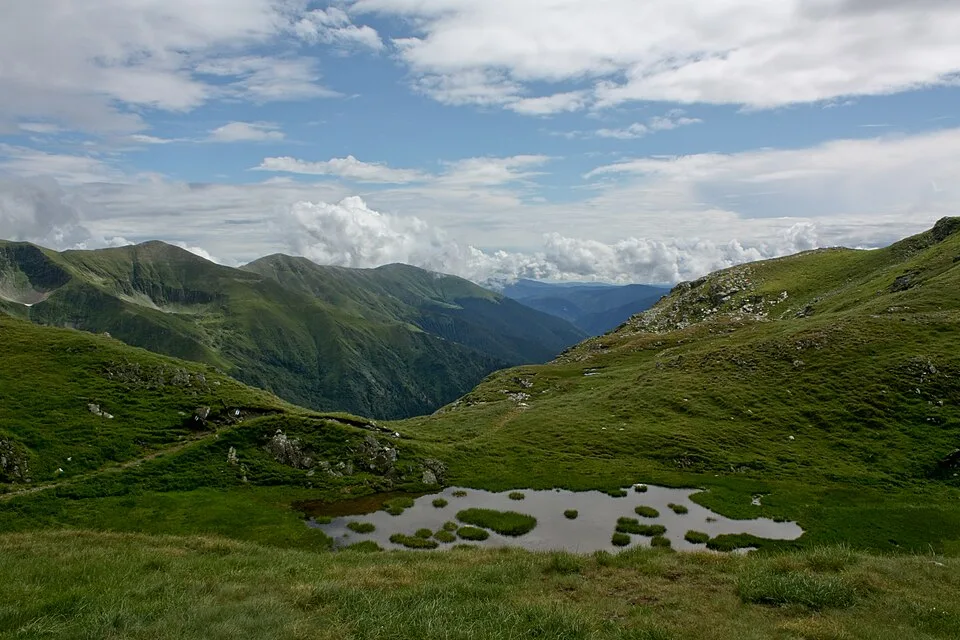 Lacul Capra, a small grass- and reed-fringed alpine tarn in the Făgăraș Mountains, seen from its shore.