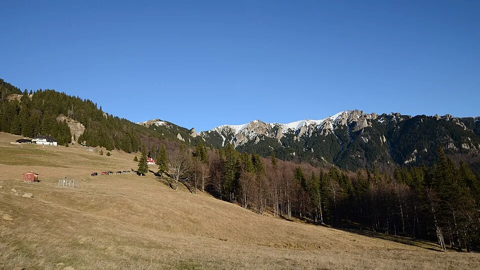 The rocky crest of the Gropșoarele–Zăganu ridge in the Ciucaș Mountains, seen from near Cabana Muntele Roșu, the trailhead for this route.