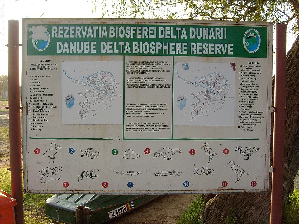 Landscape around Sfântu Gheorghe in the Danube Delta